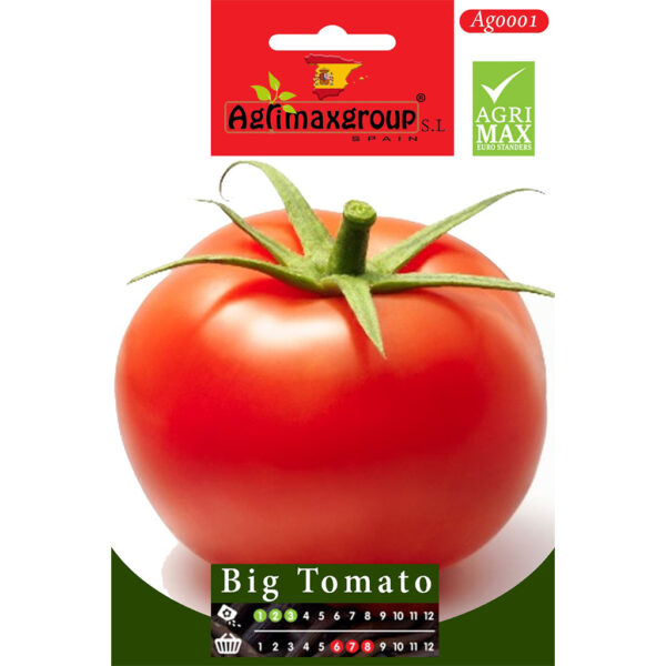 Seeds Tomato Big