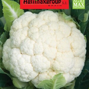 Seeds Cauliflower By Agrimax.