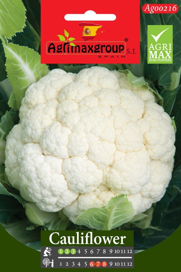 Seeds Cauliflower By Agrimax.