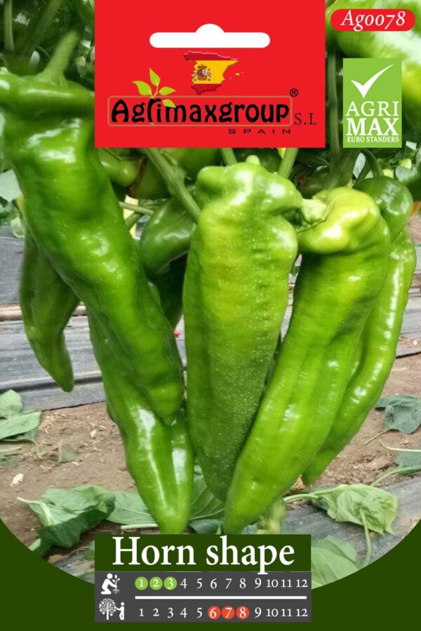 Seeds Horn Shape Chilli by Agrimax