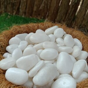 Pebbles White | Stones 1-2cm Dubai