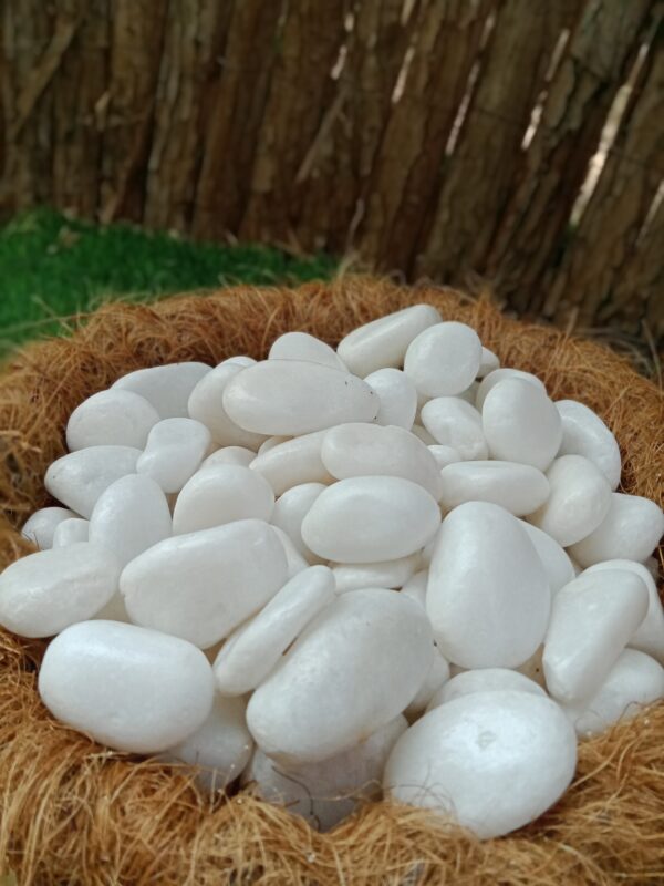 Pebbles White | Stones 1-2cm Dubai