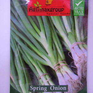 Seeds Spring Onion | Agrimax