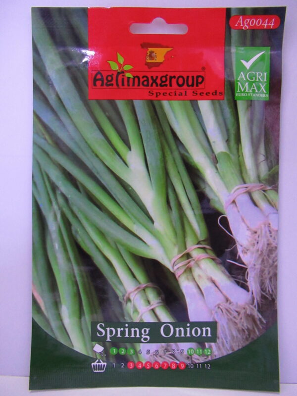 Seeds Spring Onion | Agrimax