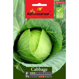 Cabbage Seeds by Agrimax