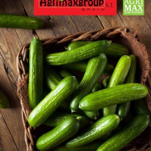 Seeds Cucumber By Agrimax