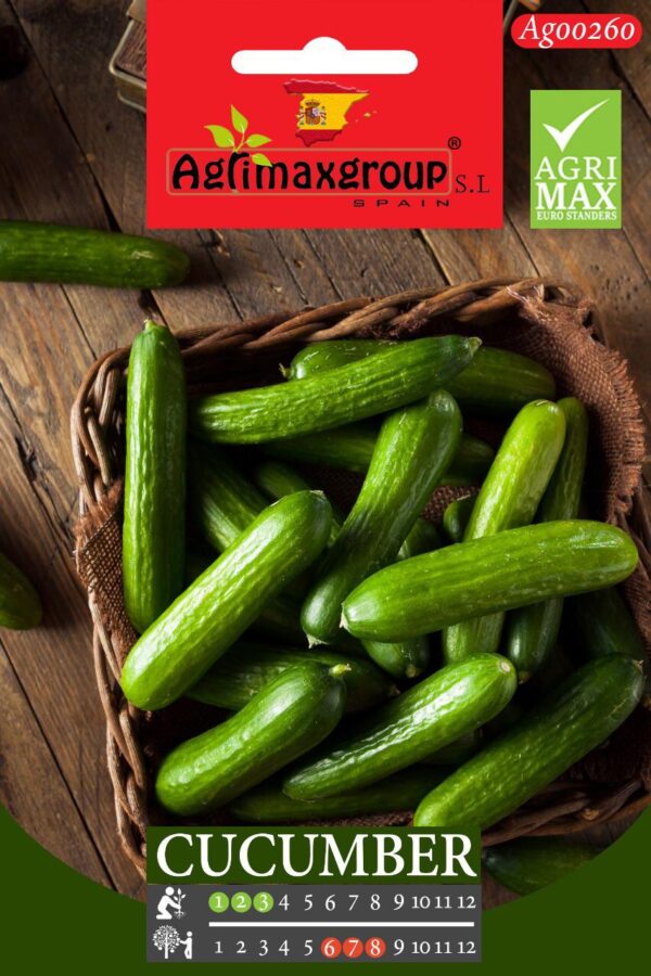 Seeds Cucumber By Agrimax