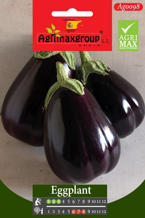Seeds Round Egg Plant By Agrimax