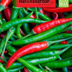 Seeds Hot Pepper | Pepper chilli | Peperone