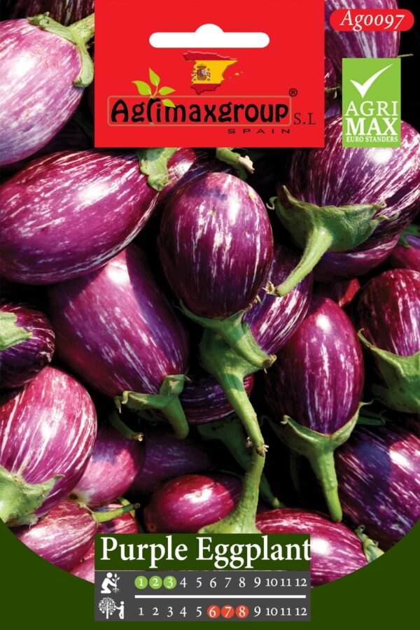Seeds Purple Eggplant | Agrimax