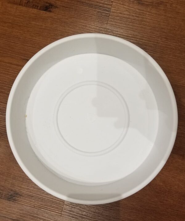Plastic Plates For Pots 6"
