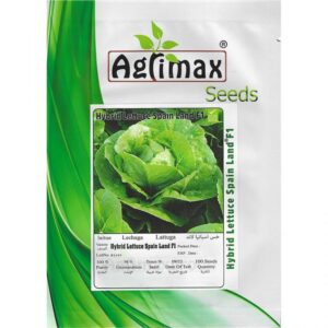 Hybrid Lettuce Seeds Spain by Agrimax