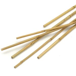 Bamboo Sticks 120cm to 300cm