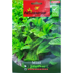 Mint Seeds By Agrimax