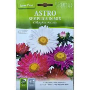 Aster Flower Seeds by Hortus