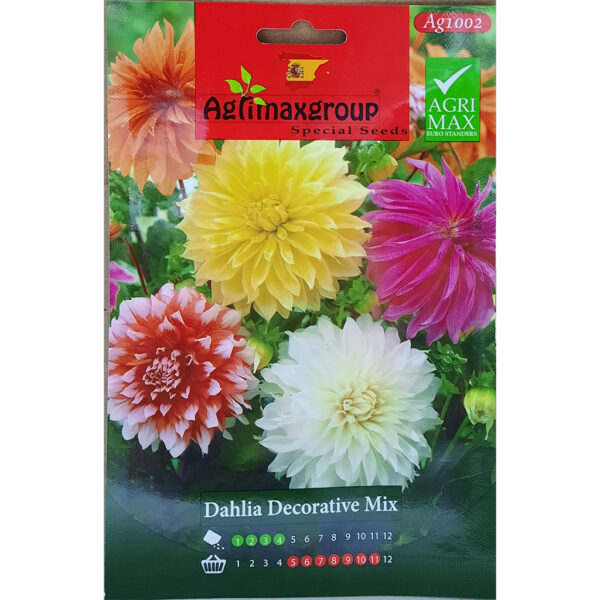 Dahlia Mix Color Flower Seed By Agrimax