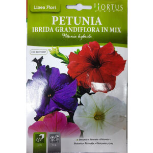 Petunia Mix Big Flower