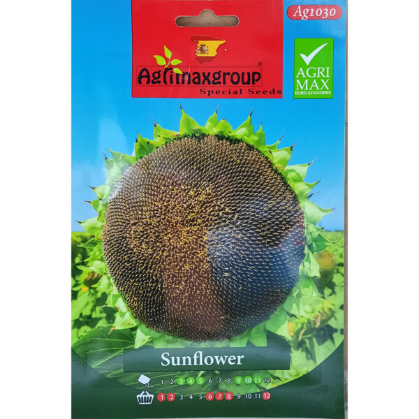 Sunflower seeds by Agrimax