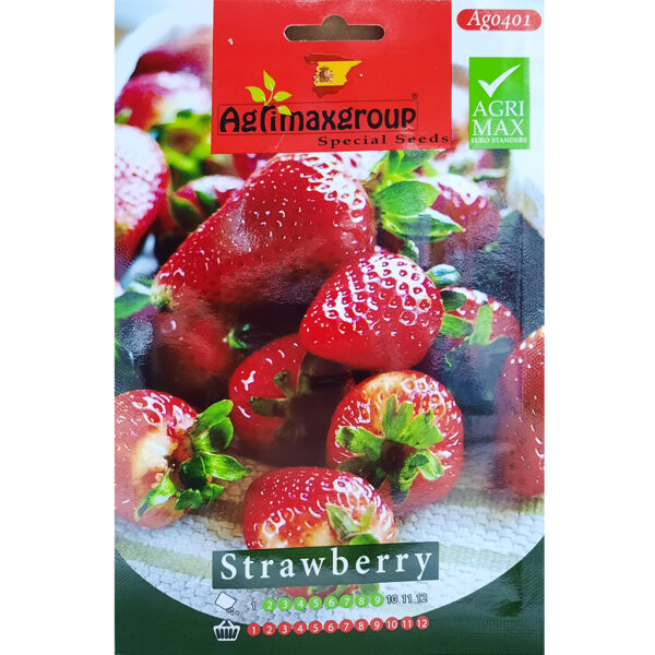 Strawberry Plant Seeds By Agrimax Dubai