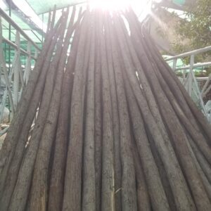 Wooden Sticks 4meter
