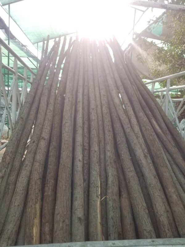 Wooden Sticks 4meter