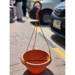 Modern Hanging Pot Basket for flowers