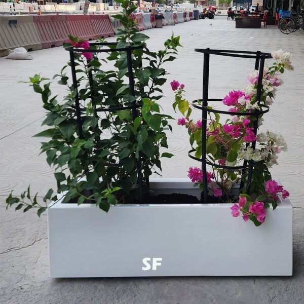 Pack of 2 Bougainvillea in Fiber Pot 90cm.